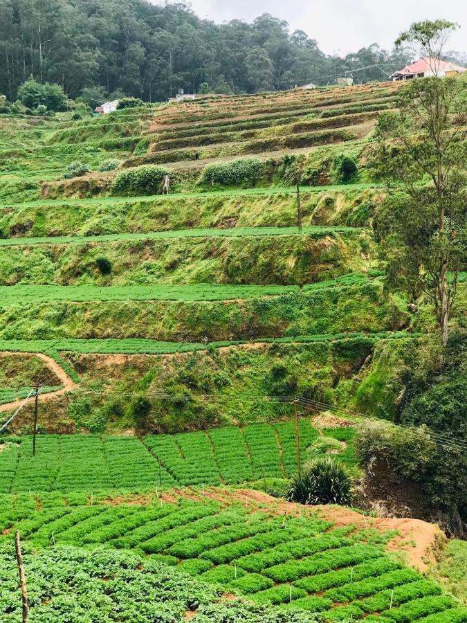 Mountain View Cottage Ooty Kültér fotó