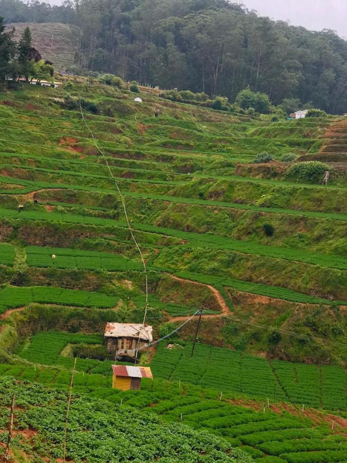 Mountain View Cottage Ooty Kültér fotó